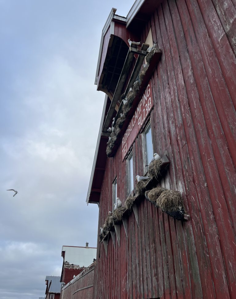 Unge håndverkere sikrer kulturminne i Lofoten